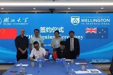 开云体育-新西兰篮球联赛：惠灵顿反击成功，胜券在握()