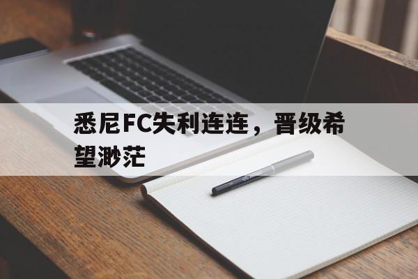 开云体育sports-西悉尼漫步者vs奥克兰fc  第1张