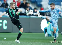 开云网页版-澳大利亚篮球：悉尼精英队大胜墨尔本联队()  第2张