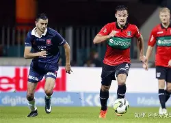 开云官方在线-看一下法甲联赛积分榜  第2张