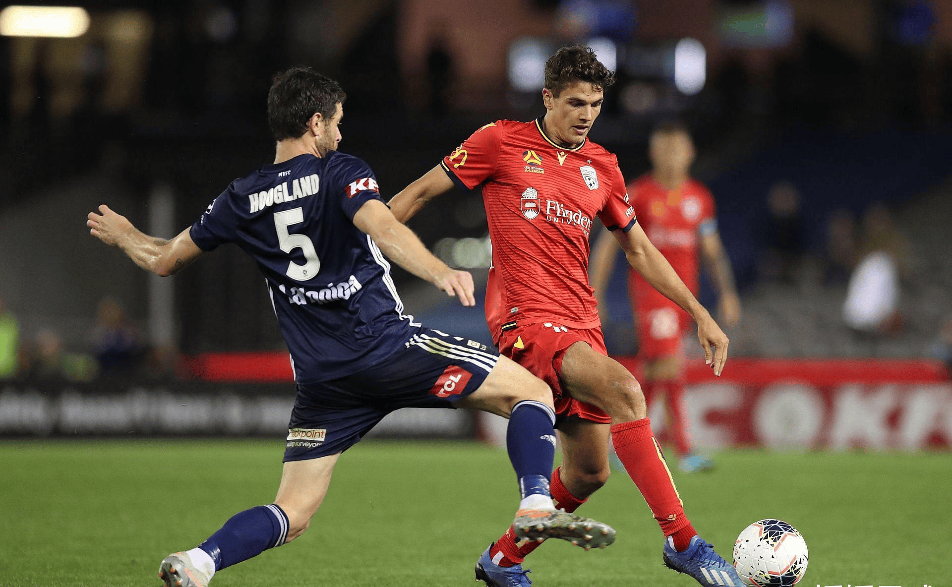 开云sports-悉尼主场大胜东京，晋级希望重燃(日本传来噩耗损失惨重)  第1张