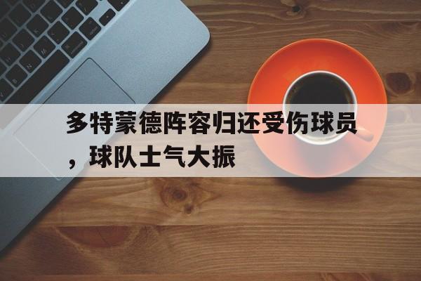 开云app-多特蒙德阵容归还受伤球员，球队士气大振()  第1张